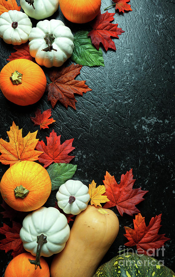 Pumpkin Photograph - Autumn harvest, diverse assortment of pumpkins on a black marble table counter. #3 by Milleflore Images