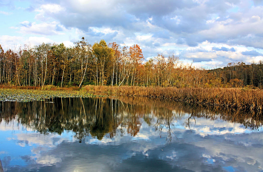 Autumn Reflections #3 Photograph by Kristin Elmquist