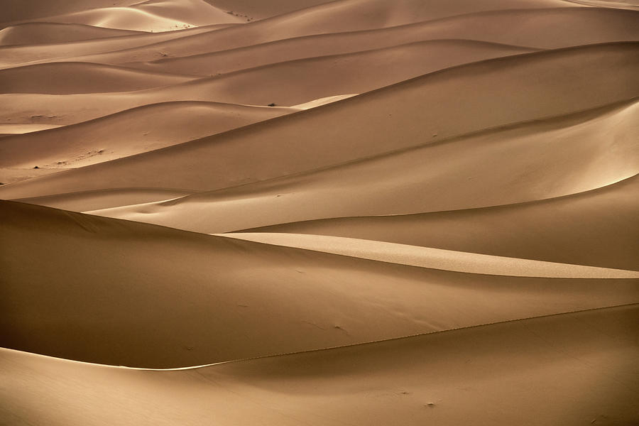 Background with of sandy dunes in desert #3 Photograph by Mikhail Kokhanchikov