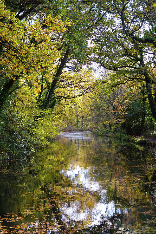 Fall Photograph - Basingstoke Canal Autumn #3 by Philip Enticknap