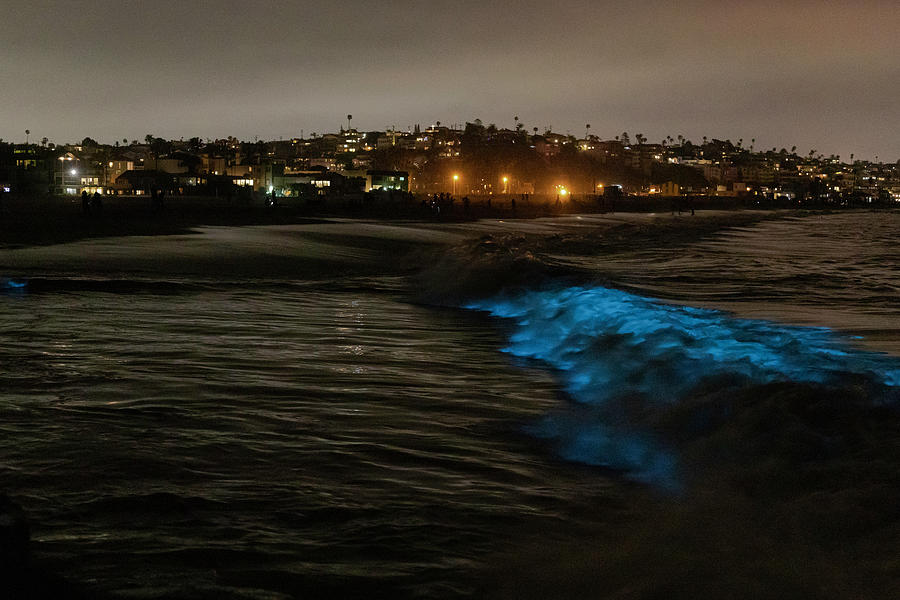 Bioluminescence in Playa Del Rey Photograph by Jesse Roberts Fine Art