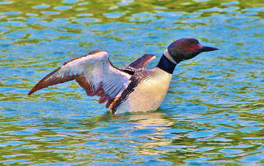 Bird #3 Photograph by John Walsh Bird #3 Photograph by John Walsh