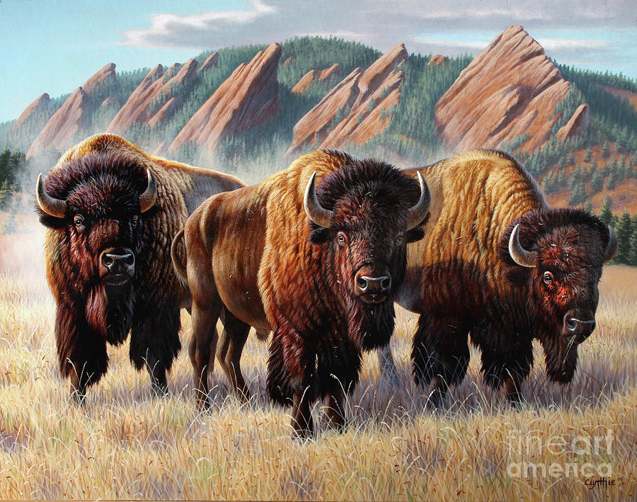 3 Bison Flatirons Painting by Cynthie Fisher