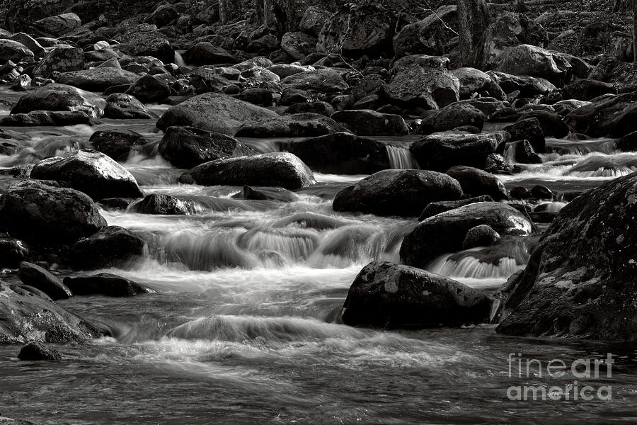 Black and White River Photograph by Phil Perkins