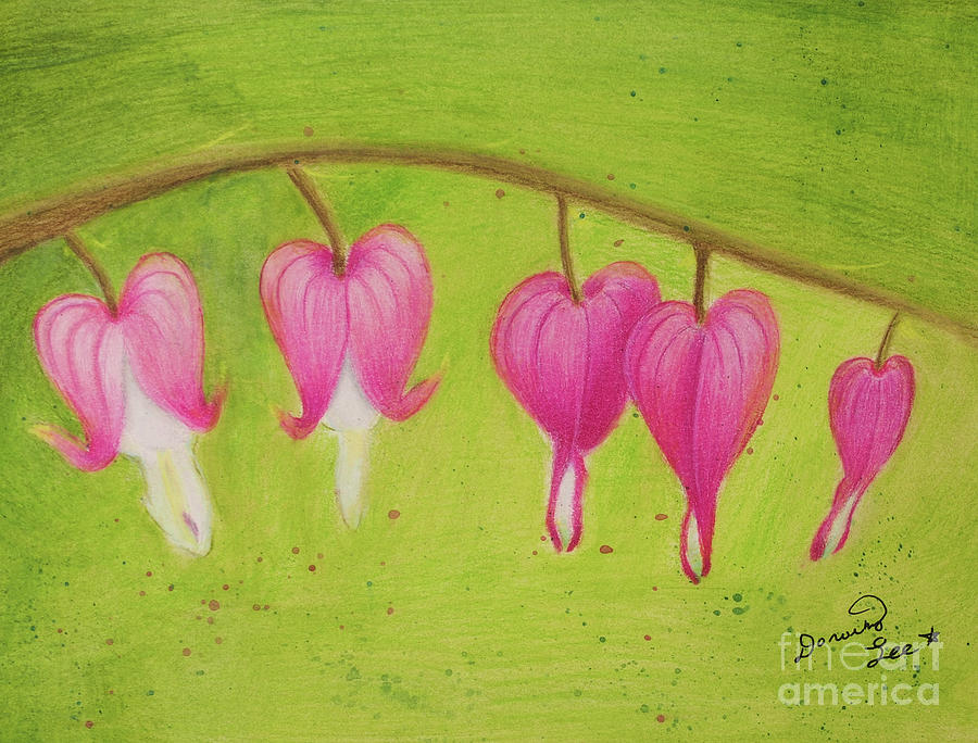 Bleeding Hearts #3 Painting by Dorothy Lee