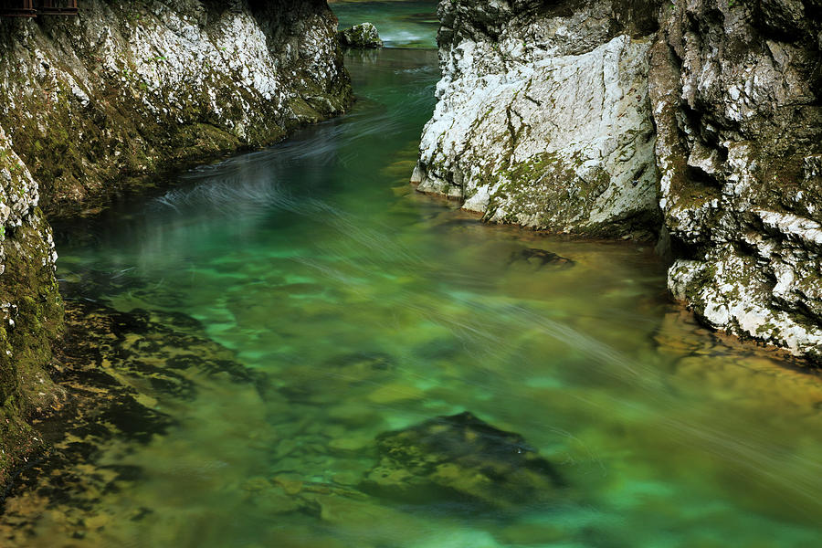 Blejski Vintgar gorge, Gorje, near Bled, Slovenia #3 Photograph by Ian Middleton