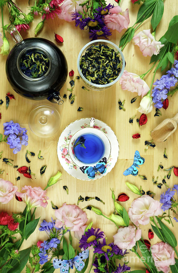Blue Butterfly Pea Flower caffeine-free herbal tea creative concept layout. #3 Photograph by Milleflore Images
