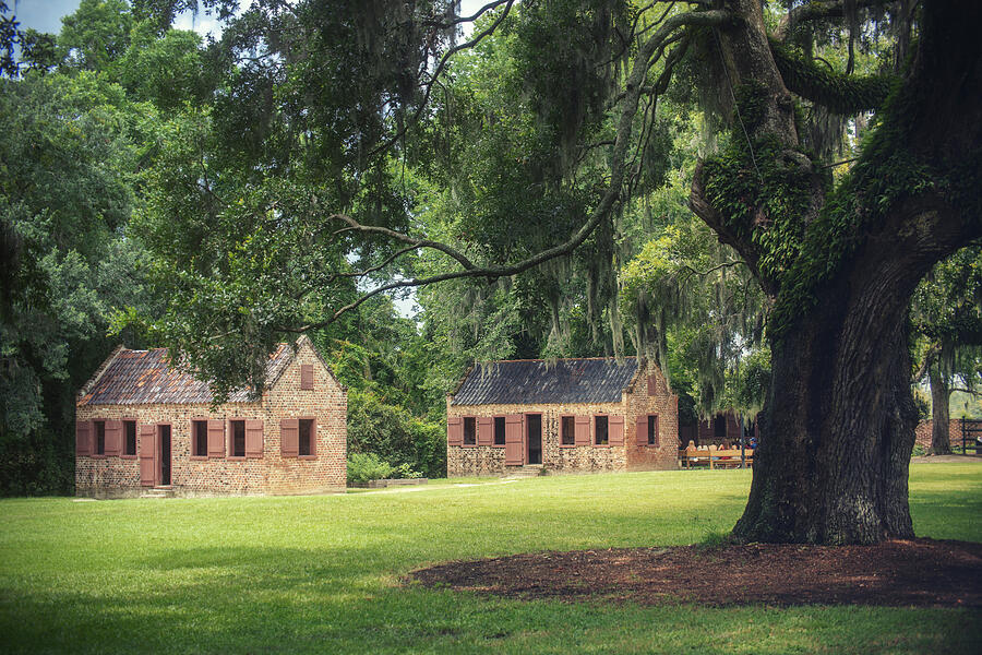Boone Hall Plantation #5 Photograph by Ray Devlin