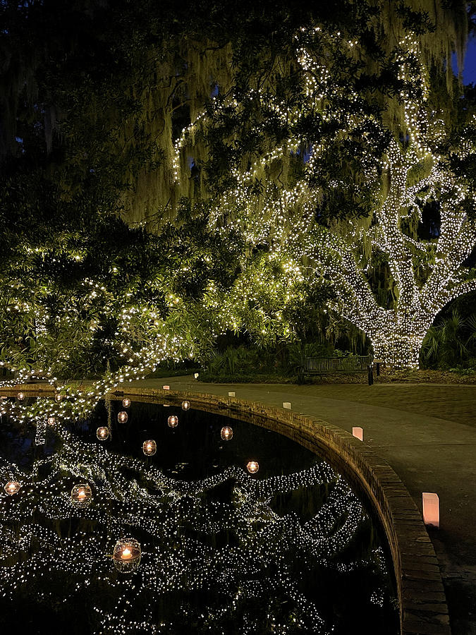 Brookgreen Gardens Festival of a Thousand Candles #4 Photograph by Dawna Moore Photography