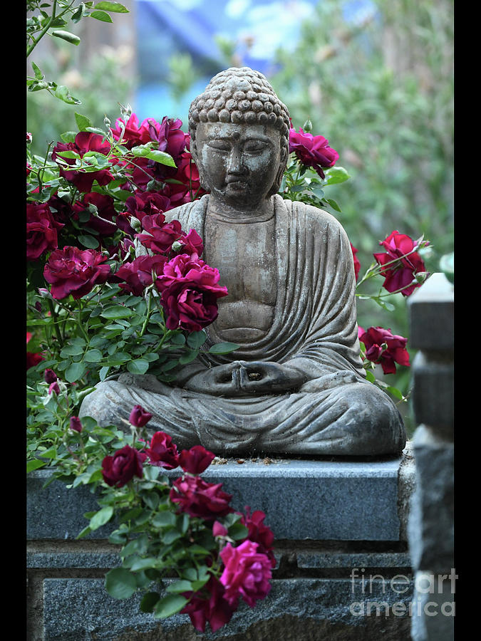 Buddha #3 Photograph by Marc Bittan