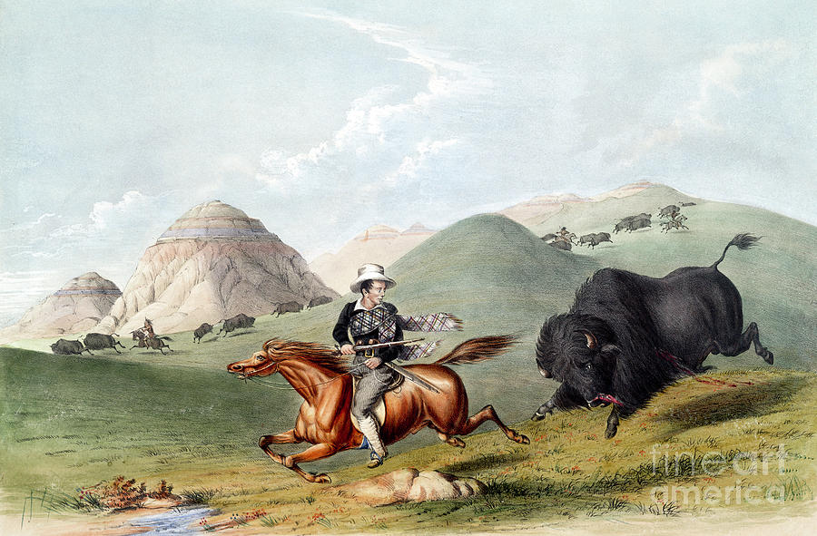 Buffalo Hunt, 1845 #4 Painting by George Catlin