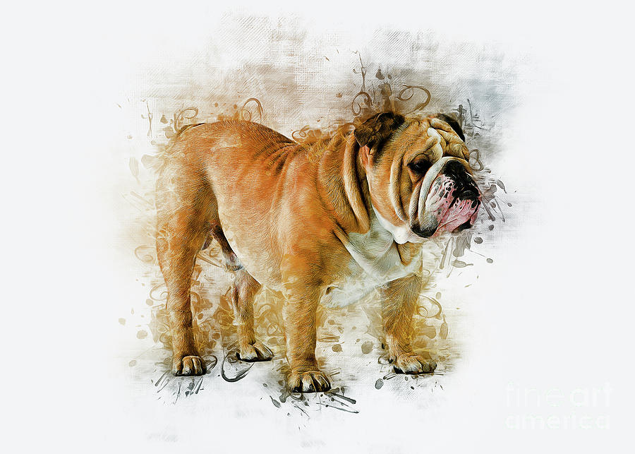 Bulldog Art Digital Art