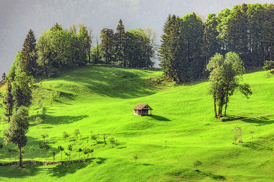 Burgenstock - Switzerland #3 Photograph by Joana Kruse
