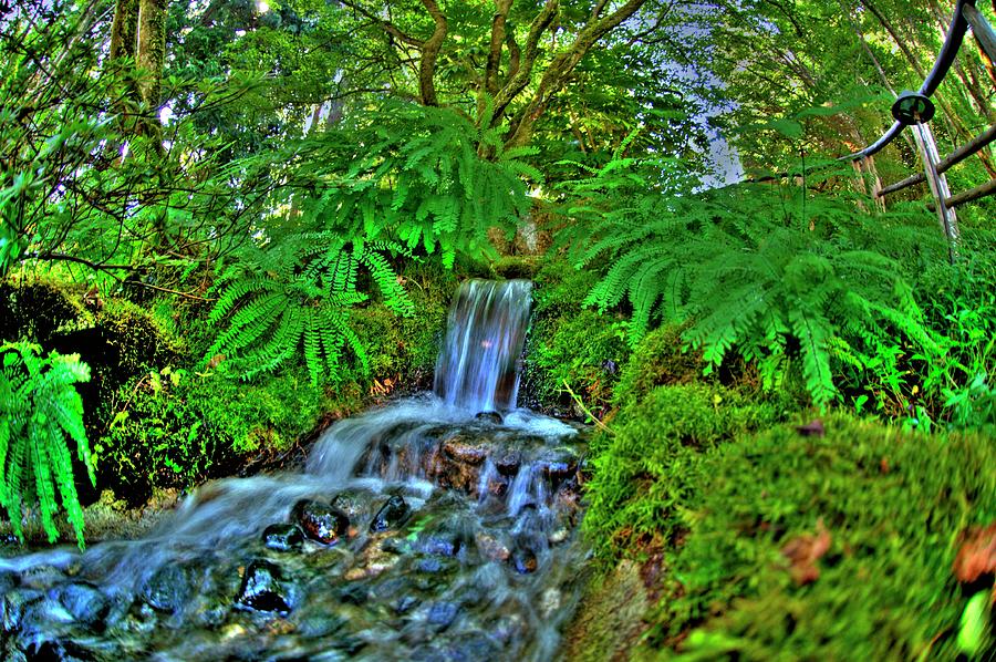 Butchart Gardens Brentwood Bay BC #3 Photograph by Lawrence Christopher