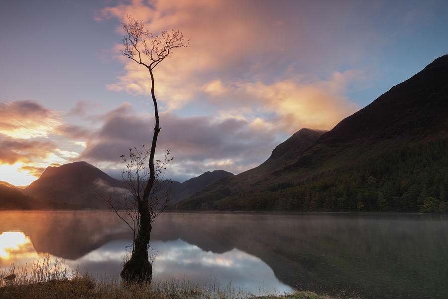 Buttermere Sunrise #3 Photograph by Nick Atkin