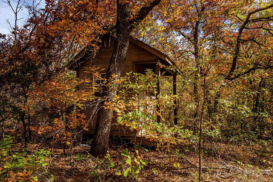 Cabin in the woods #3 Photograph by Doug Long