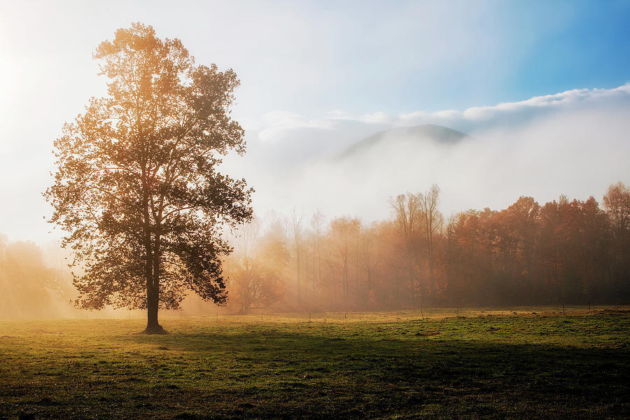 Cades Cove Morning #3 Photograph by Andrew Soundarajan
