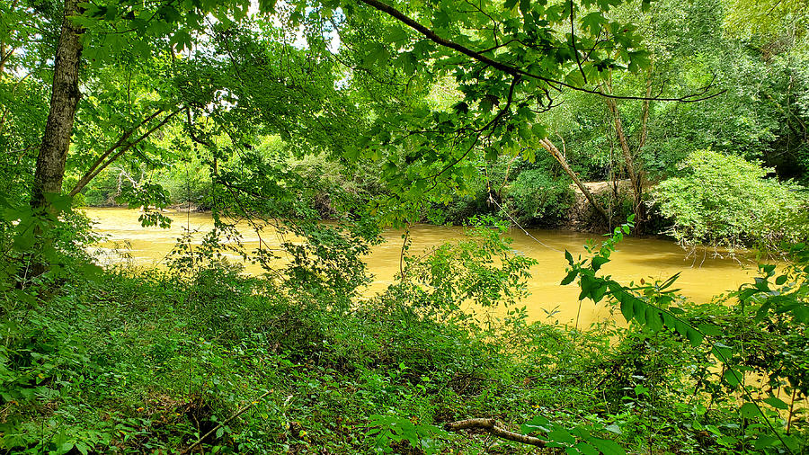 Cahaba River Walk Park #3 Photograph by Kenny Glover