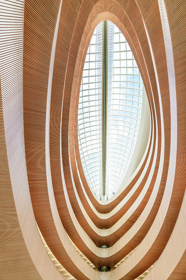 Calatrava Library Photograph by Svetlana Sewell - Fine Art America