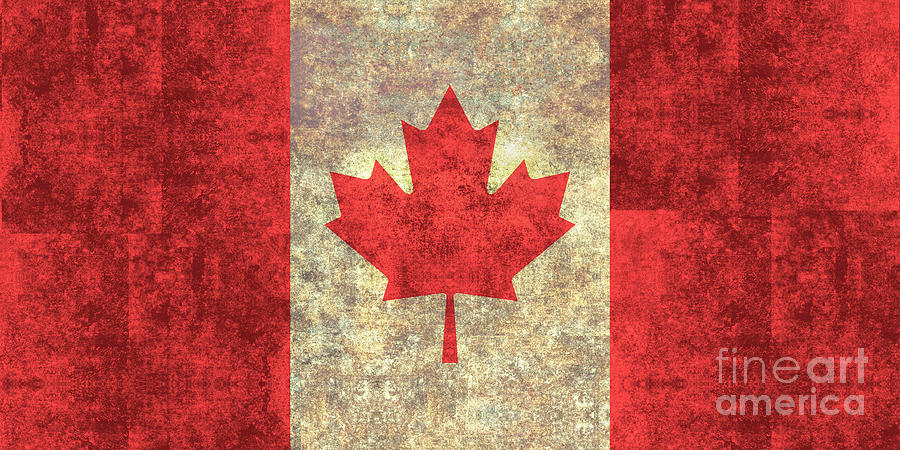 Canadian Flag of Canada #3 Painting by Sterling Gold