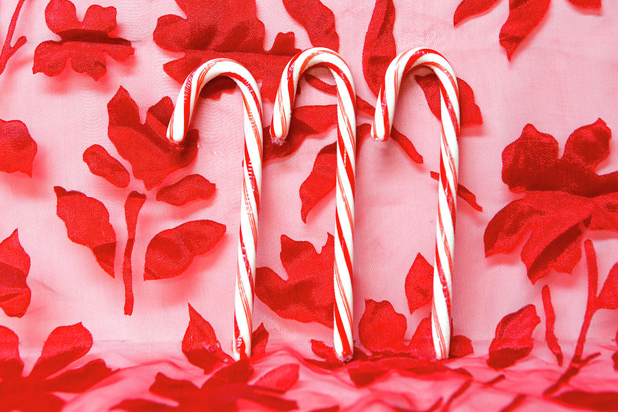 Candy Photograph - 3 Candy Canes by Her Arts Desire