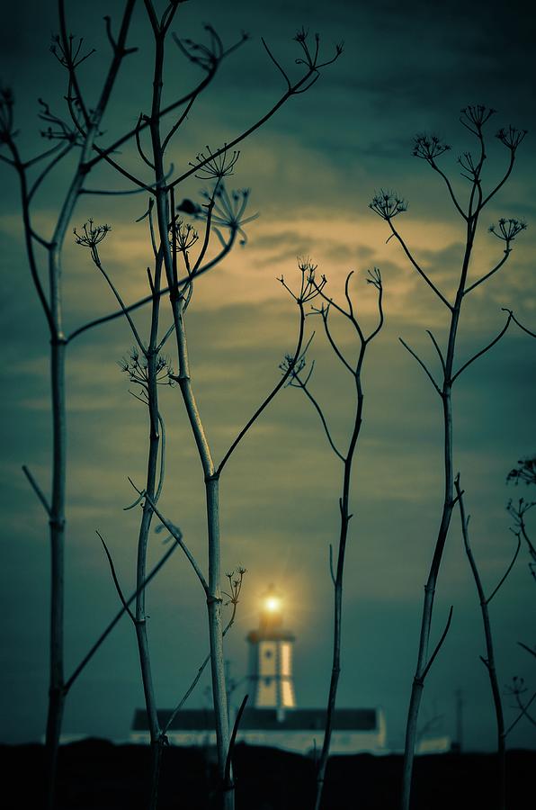 Cape Espichel Lighthouse #3 Photograph by Carlos Caetano