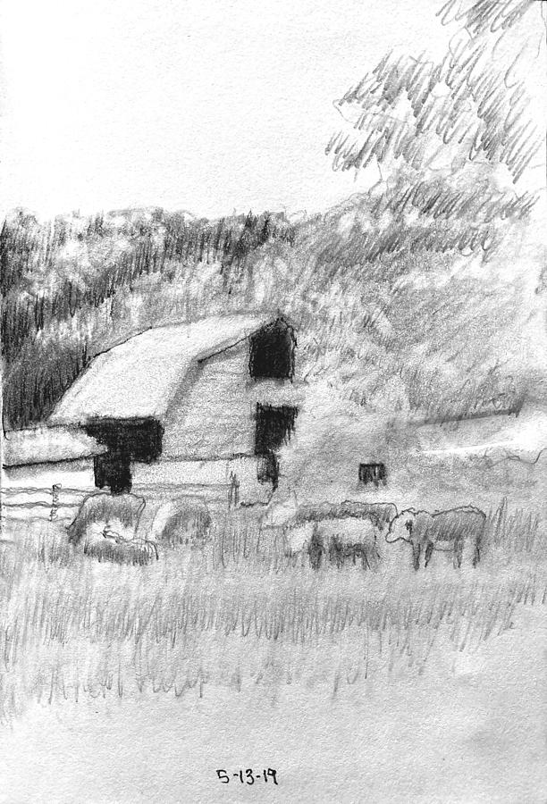 Carrboro Cattle Drawing
