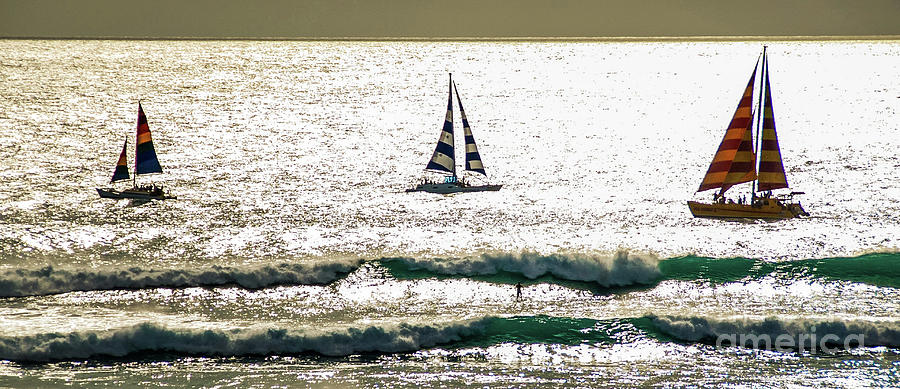Sailing Photograph - 3 Catamarans Sailing by D Davila
