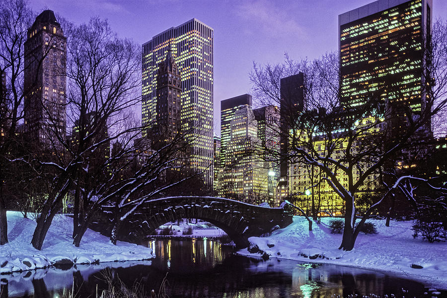 Central Park in Snow Photograph by Peter Bennett | Fine Art America