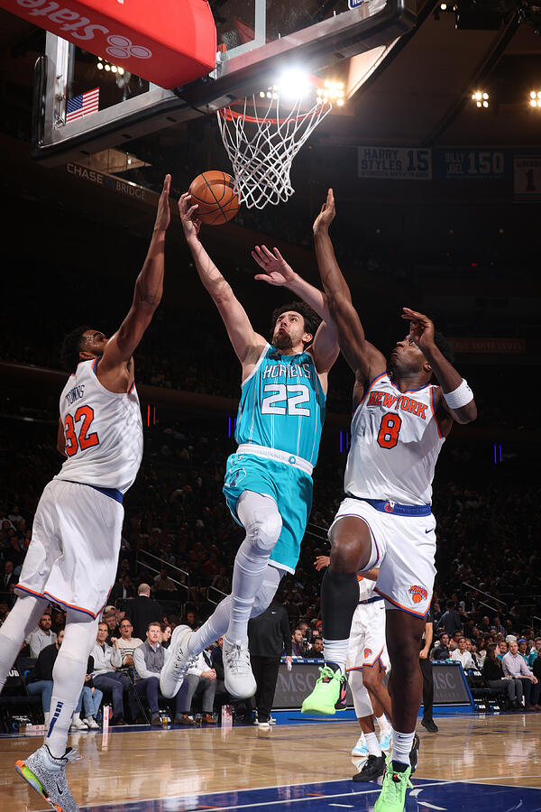Charlotte Hornets v New York Knicks #3 Photograph by Nathaniel S. Butler Charlotte Hornets v New York Knicks #3 Photograph by Nathaniel S. Butler