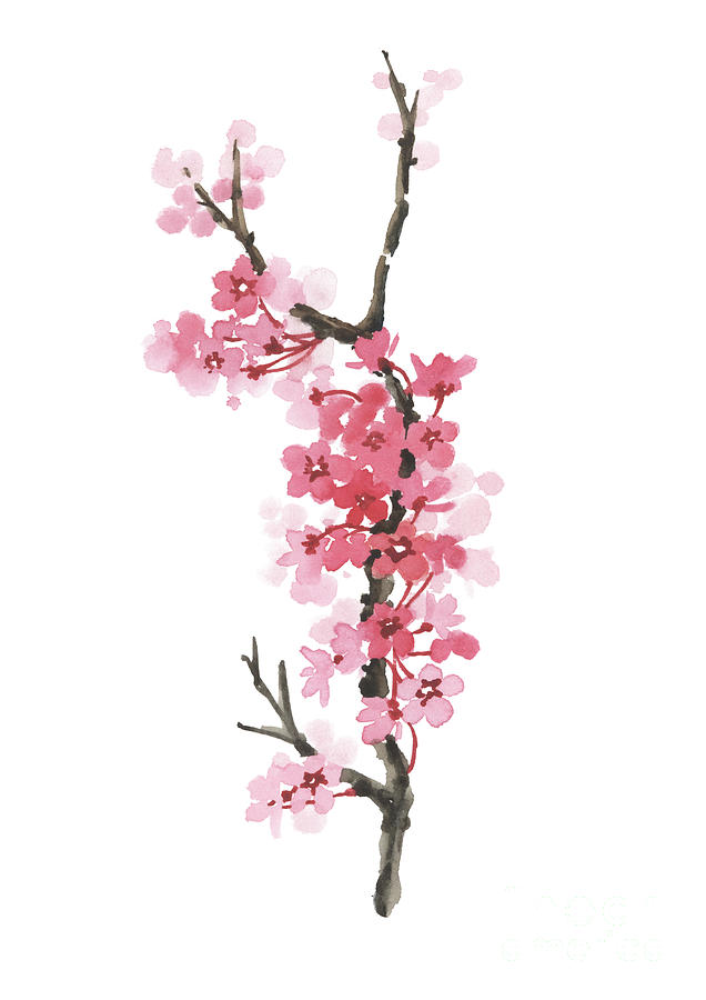 Cherry Blossom Painting Painting by Joanna Szmerdt - Fine Art America