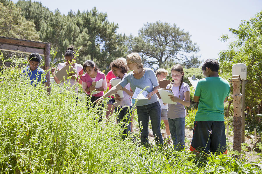 Children on a school field trip in nature #3 Photograph by Alistair Berg