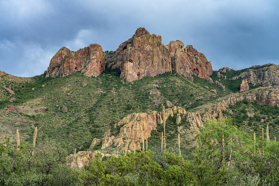 Chisos Mountains - 18768 Photograph by Wall Art Of Texas Chisos Mountains - 18768 Photograph by Wall Art Of Texas
