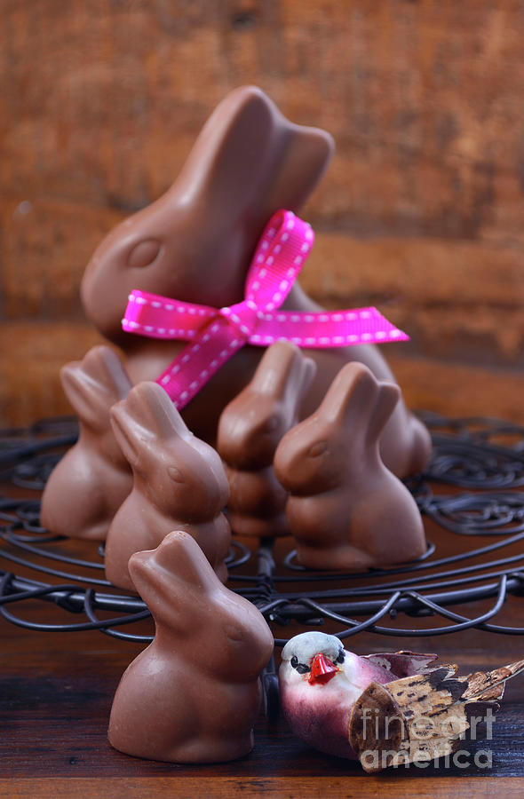 Candy Photograph - Chocolate bunny easter eggs.  #3 by Milleflore Images