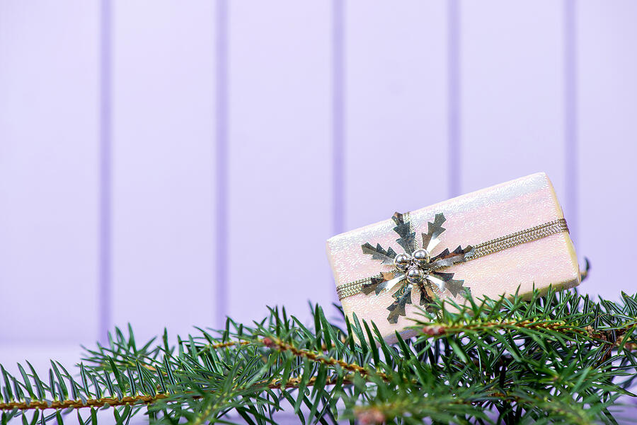 Christmas decoration on a purple striped background - selective #3 Photograph by DiyanaDimitrova