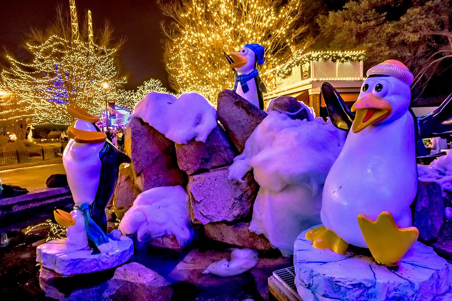 Christmas Time Winterfest Celebration At Carowinds Amusement Par #3 Photograph by Alex Grichenko