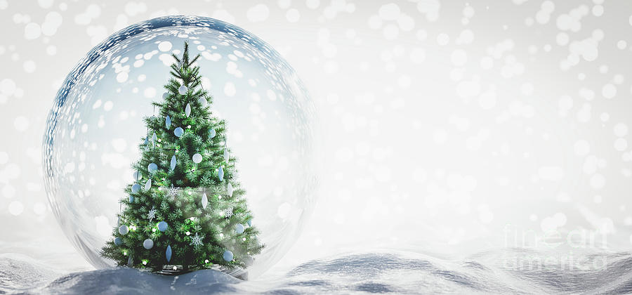 Christmas tree in glass ball on snow #3 Photograph by Michal Bednarek