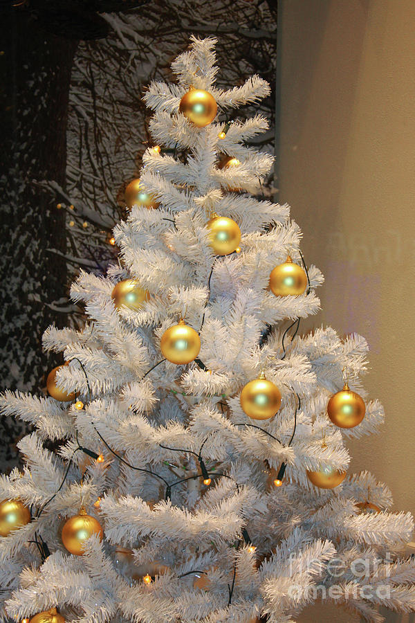 Christmas tree, Moscow #3 Photograph by Irina Afonskaya
