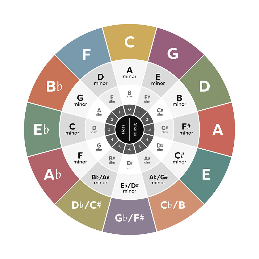 Circle Of Fifths - Music Theory Digital Art By Penny And Horse 