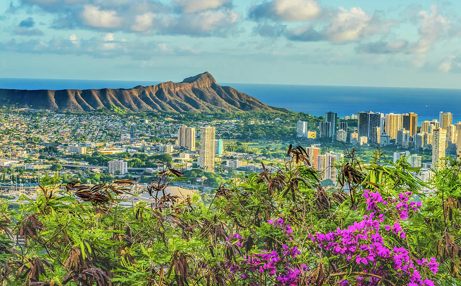 Colorful Lookout Waikiki Beach Diamond Head Waikiki Beach Honolu ...