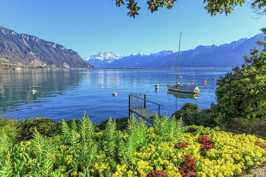 Colorful springtime flowers at Geneva lake and Alps mountains in #3 Photograph by Elenarts - Elena Duvernay photo