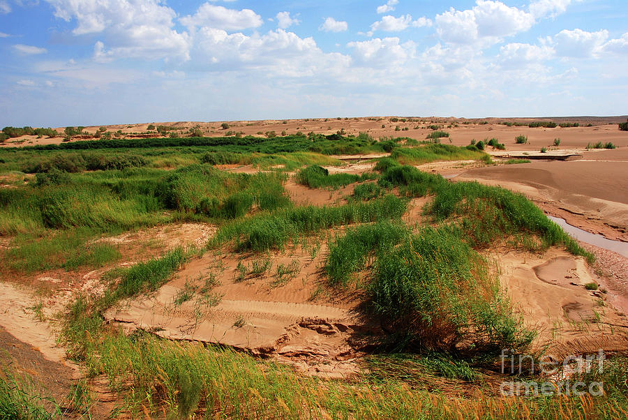 Colors of Gobi desert #3 Photograph by Elbegzaya Lkhagvasuren