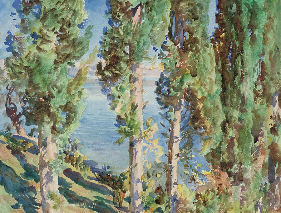 John Singer Sargent Painting - Corfu - Cypresses #3 by John Singer Sargent