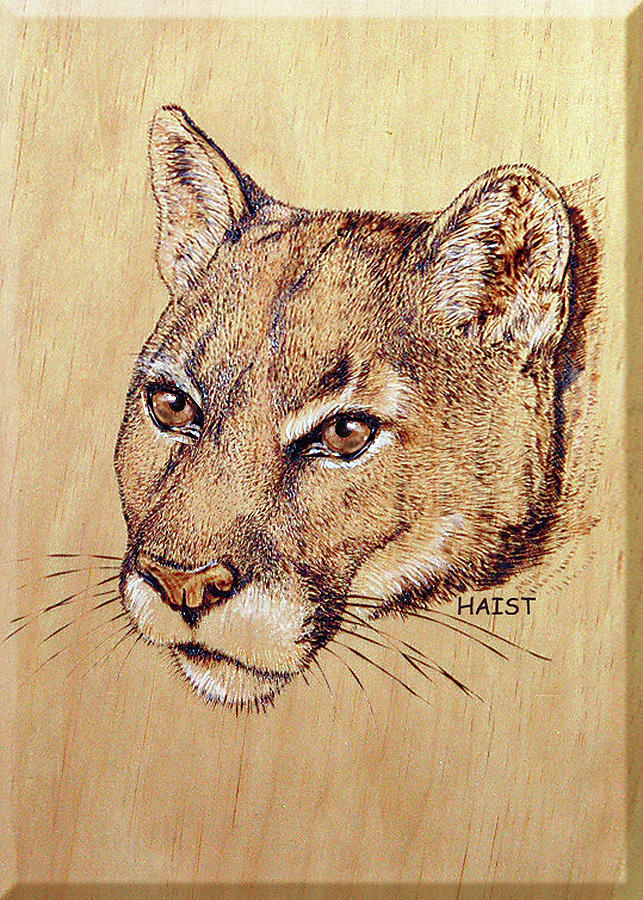 Cougar #3 Pyrography by Ron Haist
