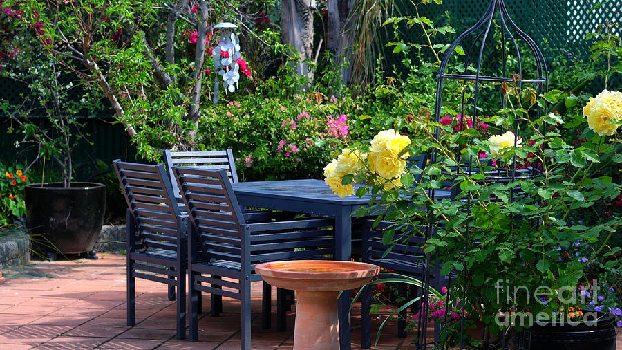 Courtyard garden setting #3 Photograph by Milleflore Images