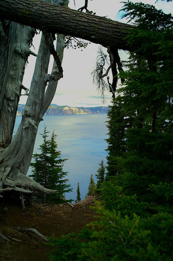 Crater Lake Oregon #3 Photograph by Lawrence Christopher