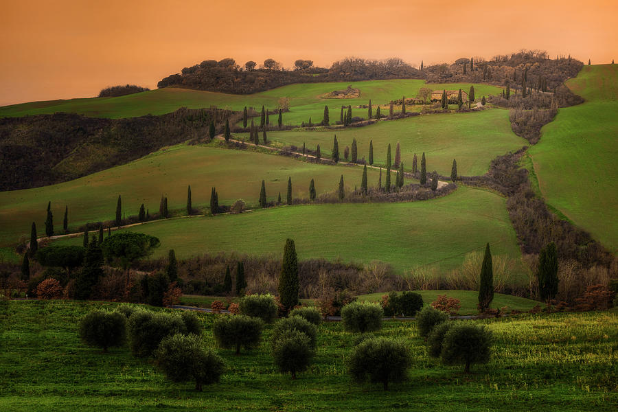 Cypress Road Val dOrcia - Tuscany - Italy #3 Photograph by Joana Kruse