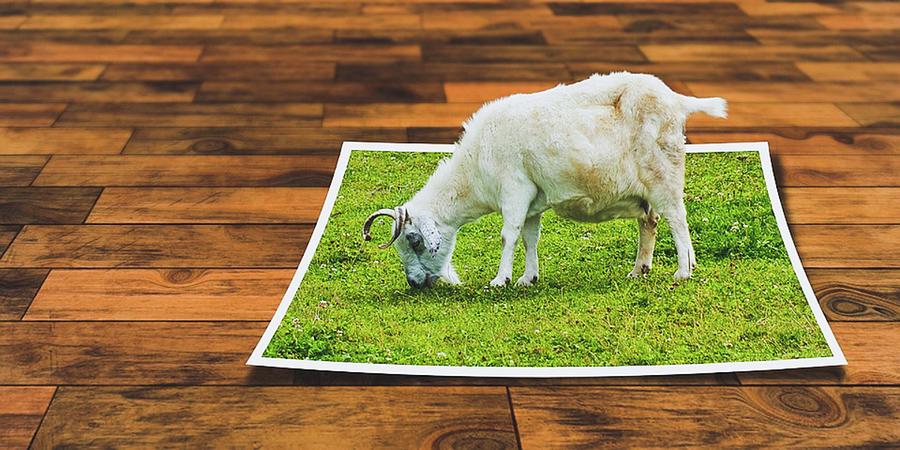 3-d Goat Pasturing Digital Art