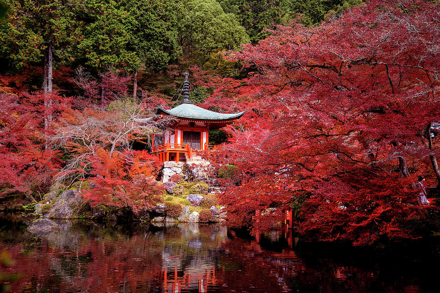 Daigoji Temple With Pond Bridge Pagoda And Red Maple Garden Photograph 