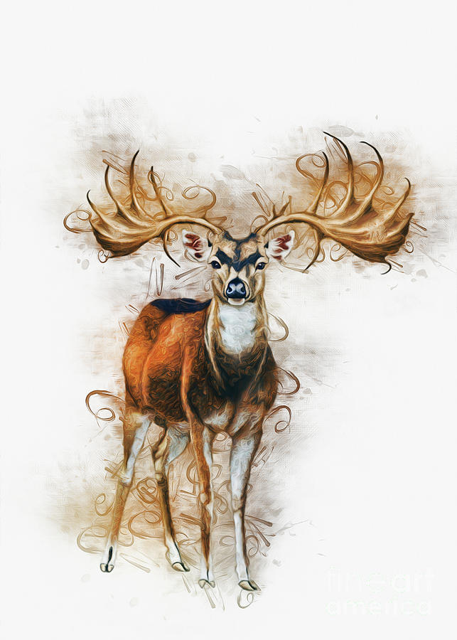 Deer Art #3 Digital Art by Ian Mitchell